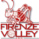 Logo FV